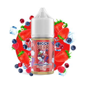 Fruits Rouges Givrés 30ml Biggy Bear