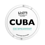 Spearmint 24mg Medium CUBA